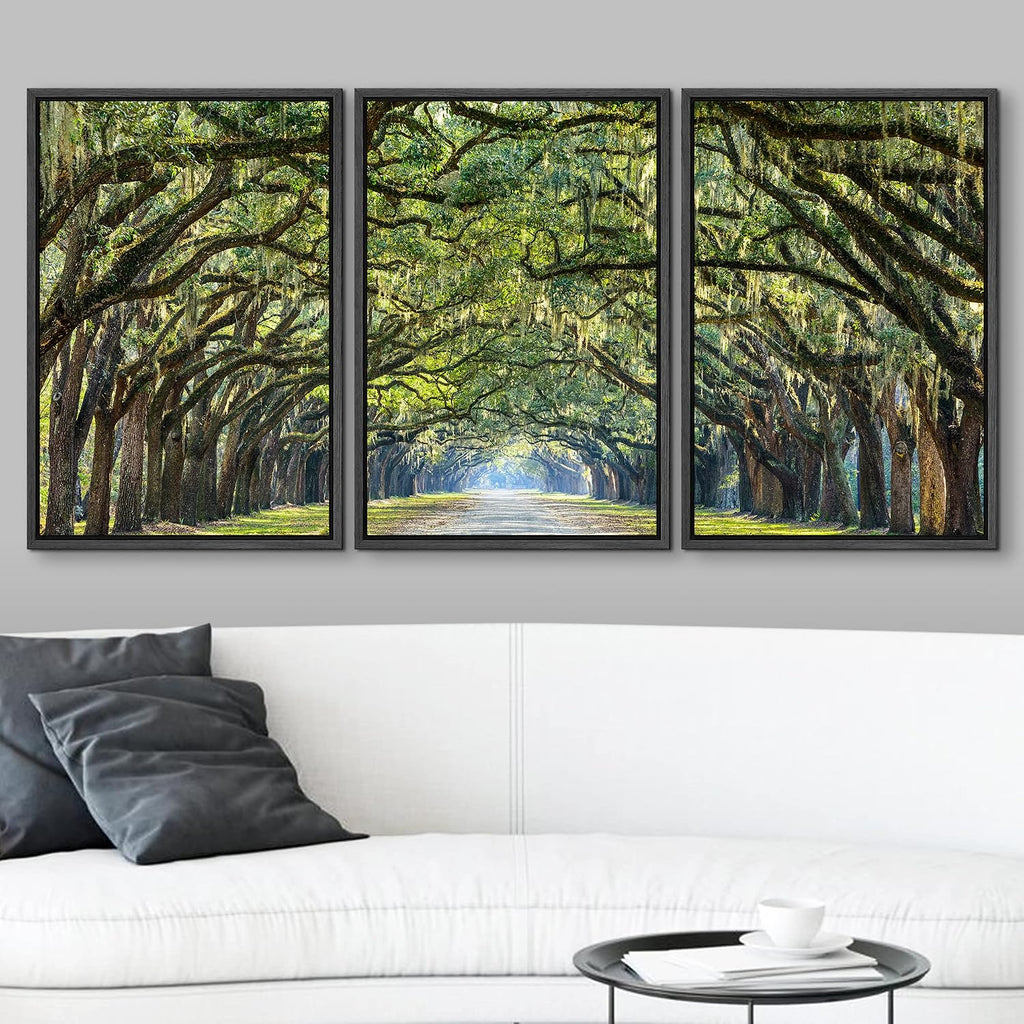 wall26 Framed Canvas Print Wall Art Set Path Through The Hanging Tree Archway Nature Wilderness Photography Realism Contemporary Colorful Ultra for Living Room, Bedroom, Office - 24'x36'x3 Black