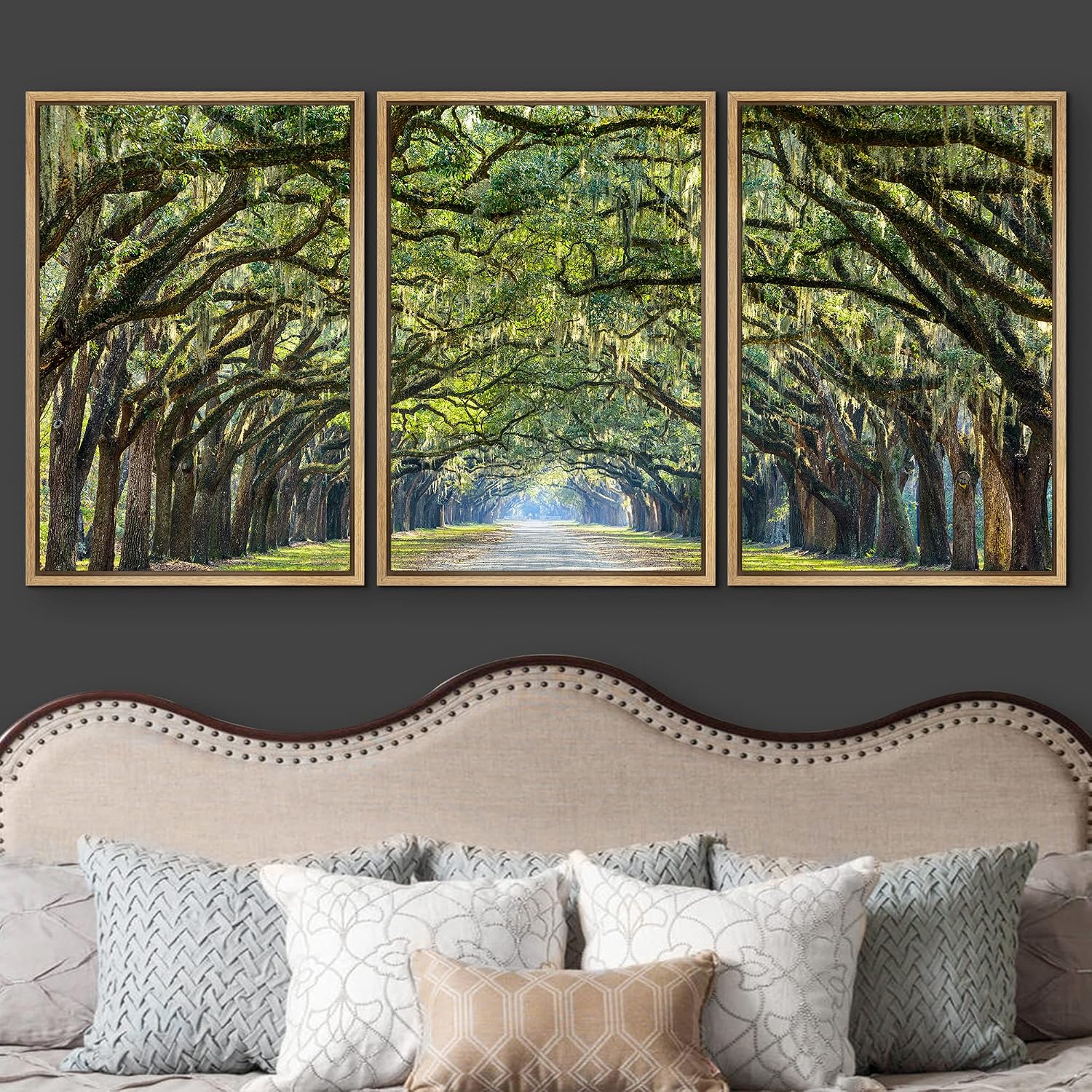 wall26 Framed Canvas Print Wall Art Set Path Through The Hanging Tree Archway Nature Wilderness Photography Realism Contemporary Colorful Ultra for Living Room, Bedroom, Office - 24'x36'x3 Natural